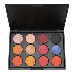 OEM factory cosmetics earth color 12 color eyeshadow palette long lasting waterproof