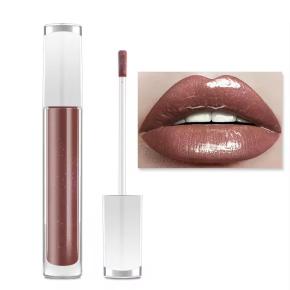 Vegan Waterproof Glitter Matte Custom Lip Plumping Gloss Lip Gloss Private Label